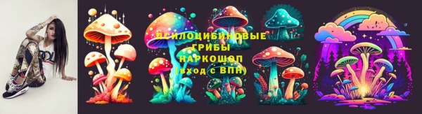 прущие крисы Приозерск